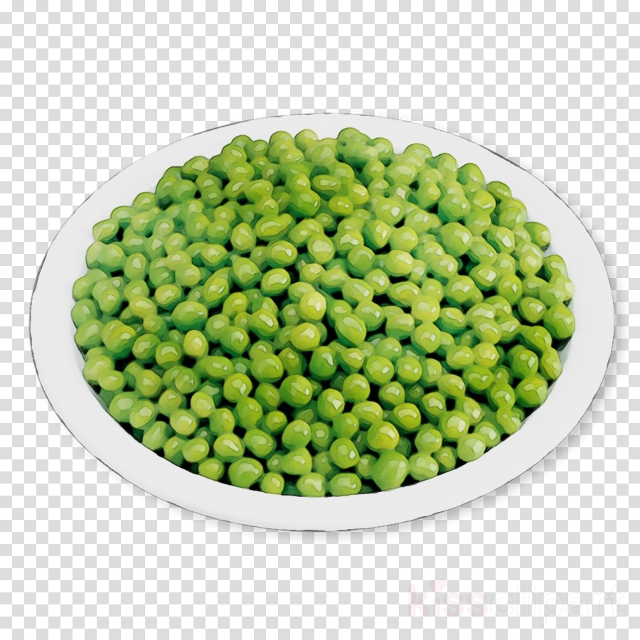 Legume pea fruit . Peas clipart green food