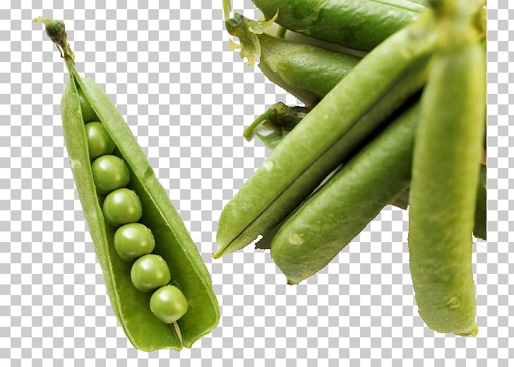 Peas clipart green food. Bean vegetable common png