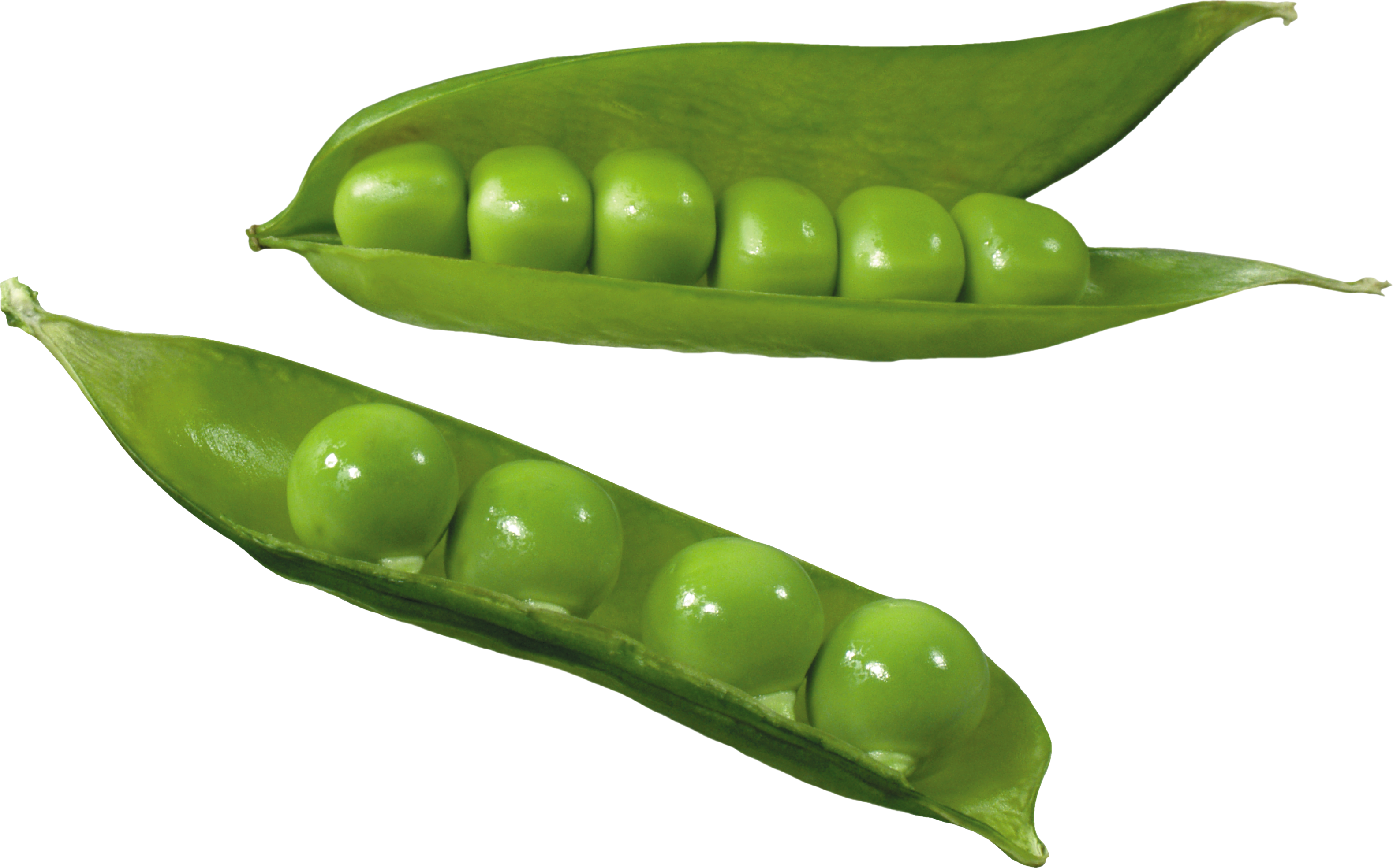 peas clipart green food