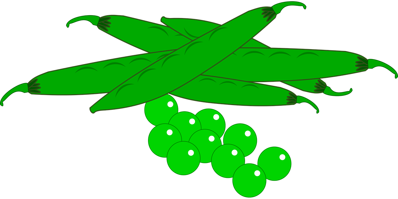 Peas clipart green pea. Garden fresh vegetables food