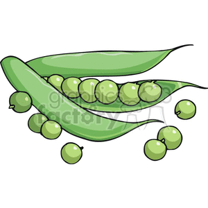 Royalty free . Peas clipart green thing