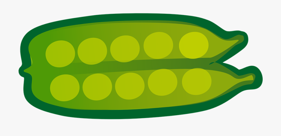 Peas clipart green thing. Plants pea vegetable free