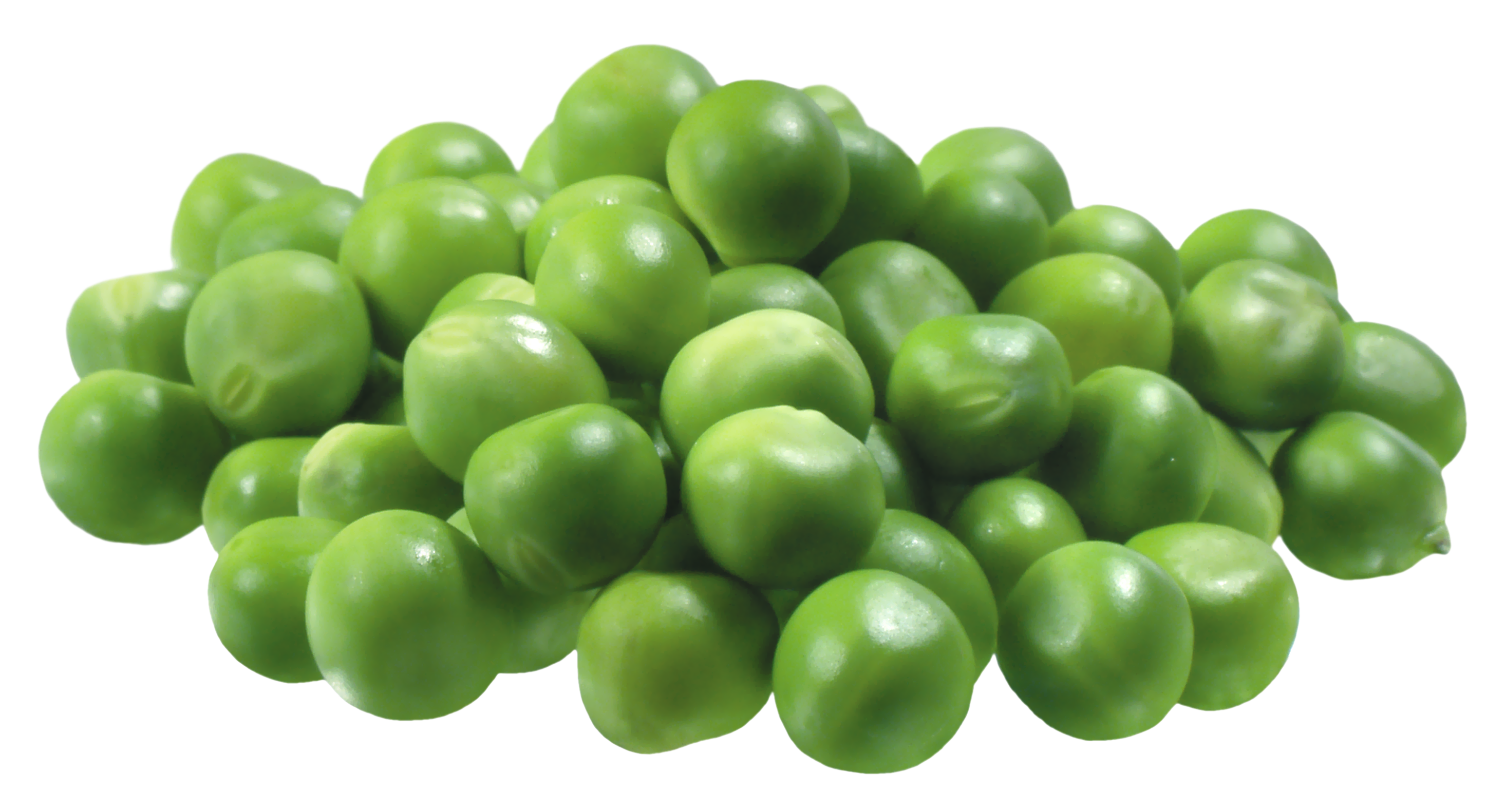peas clipart large