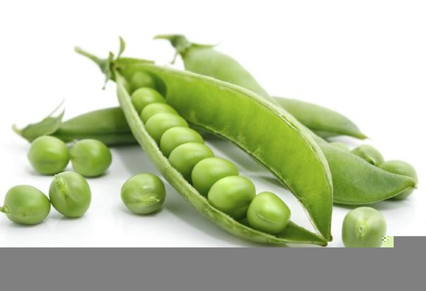Peas clipart large. Snap free images at