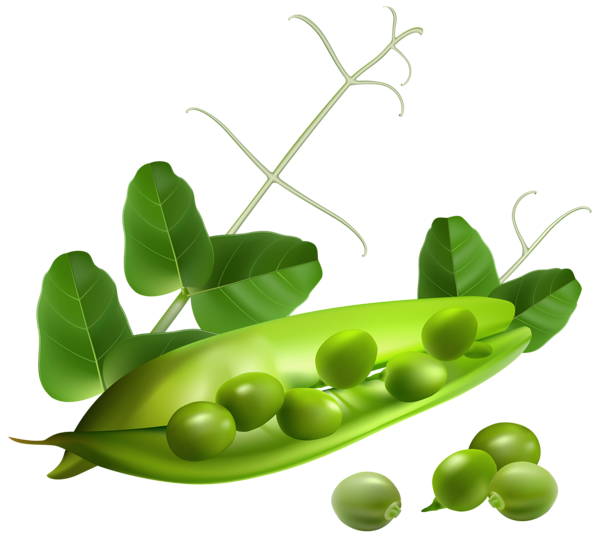 peas clipart large
