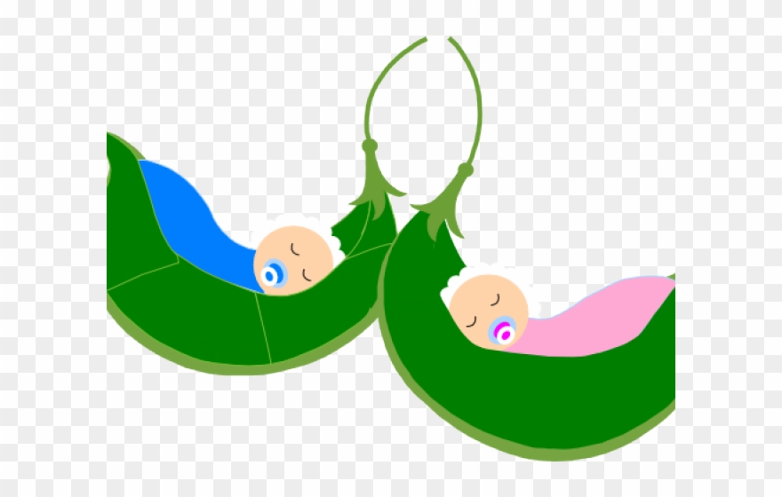Peas clipart large. Pea pods png download