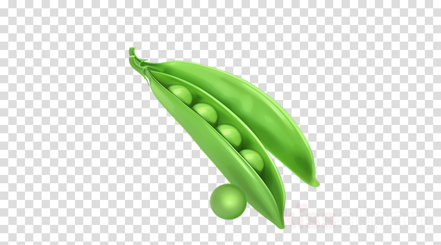Peas clipart legume. Pea green snow plant