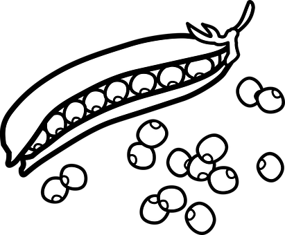 Black and white station. Peas clipart line