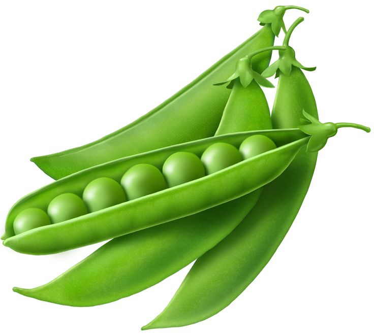 peas clipart one