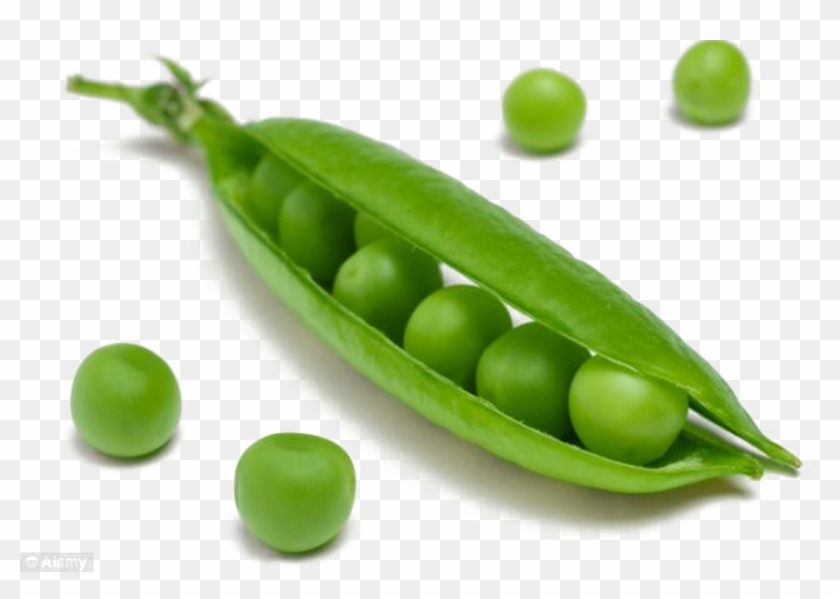 Picture #3065107 - peas clipart single. 