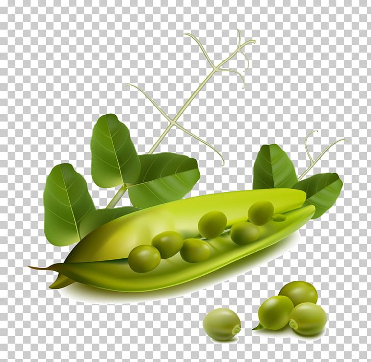 Peas clipart snow pea. Png butterfly flower 
