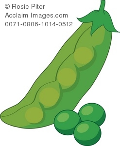 Peas clipart snow pea. Illustration of a pod