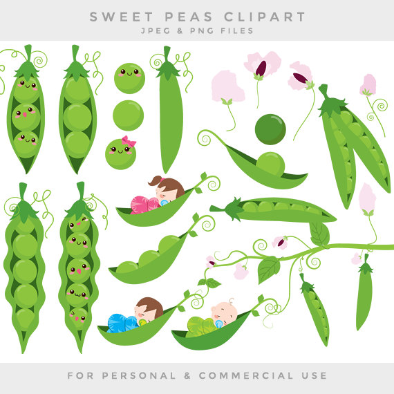 In a pod clip. Peas clipart sweet pea