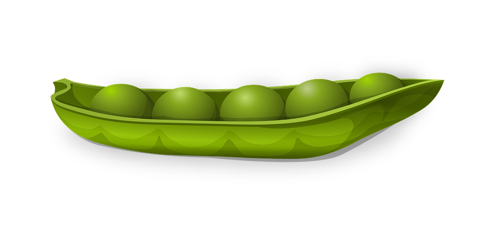 Peas clipart three. Pea png images free