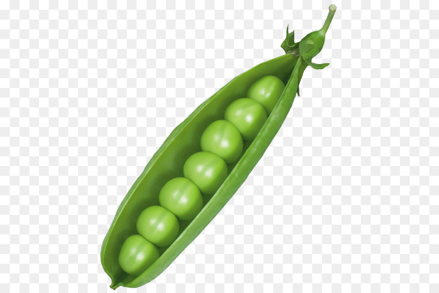 Peas clipart vegetable. Cartoon png download free