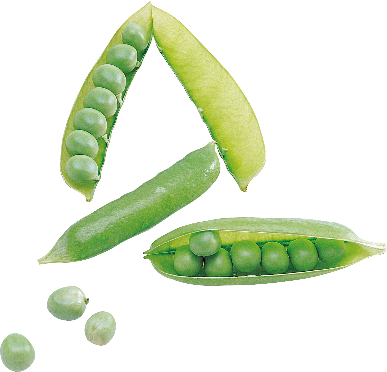 Pea png . Peas clipart winter