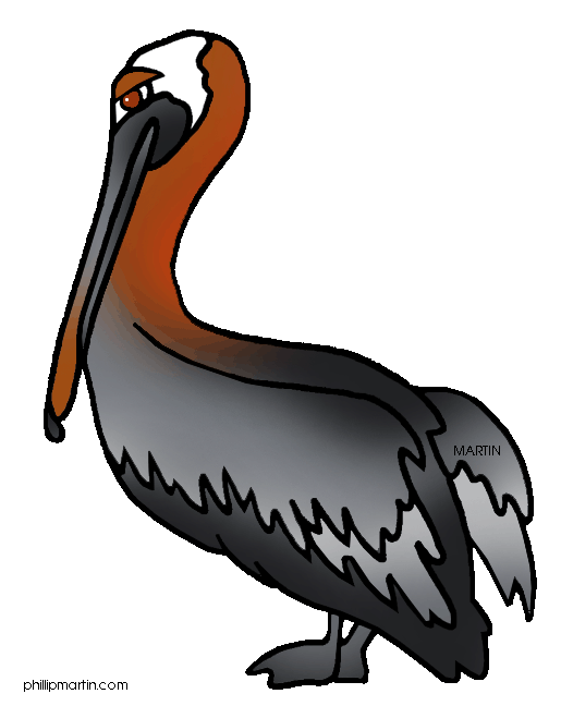 Louisiana brown pelican . Cliff clipart cartoon