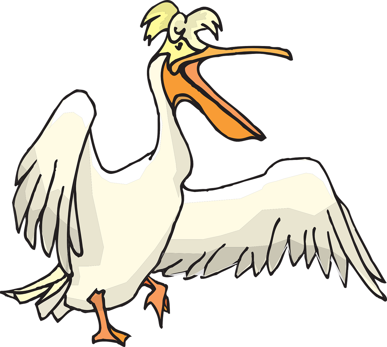 pelican clipart animated