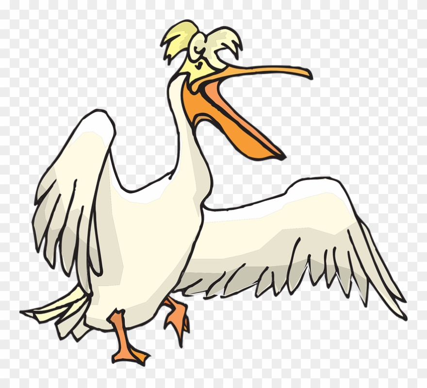 Pelican clipart clip art. Png transparent 