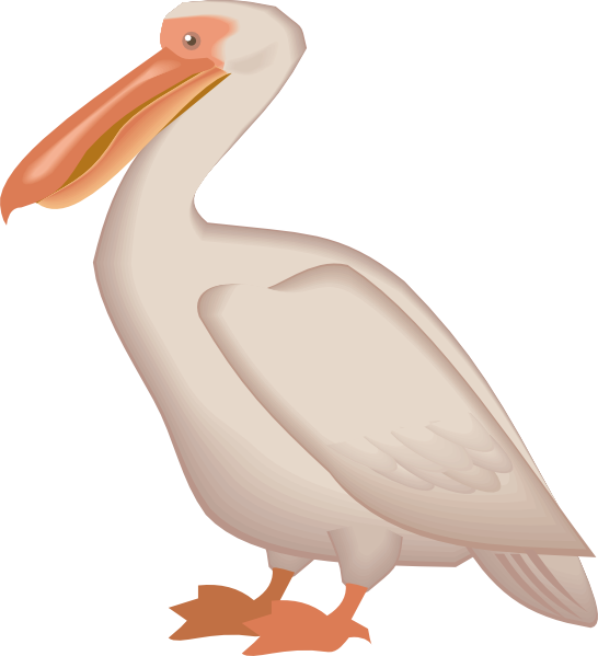 Pelican clipart clip art, Pelican clip art Transparent FREE for