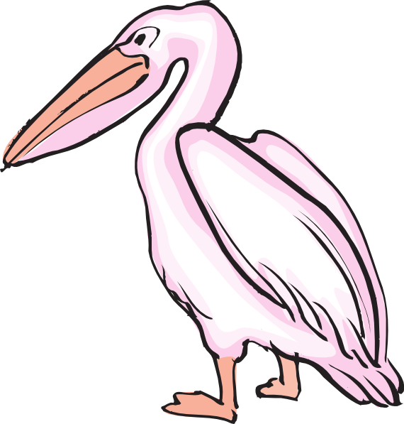 pelican clipart clip art