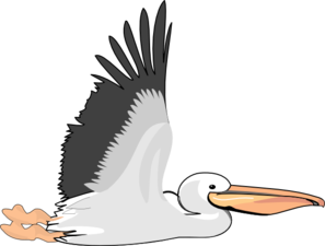 Pelican clipart clip art. Free cliparts download 
