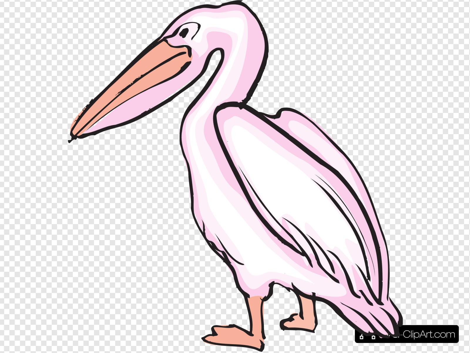 Розовый Пеликан на прозрачном фоне