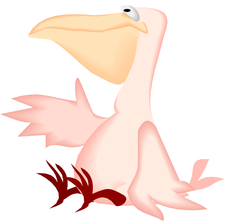 pelican clipart cute