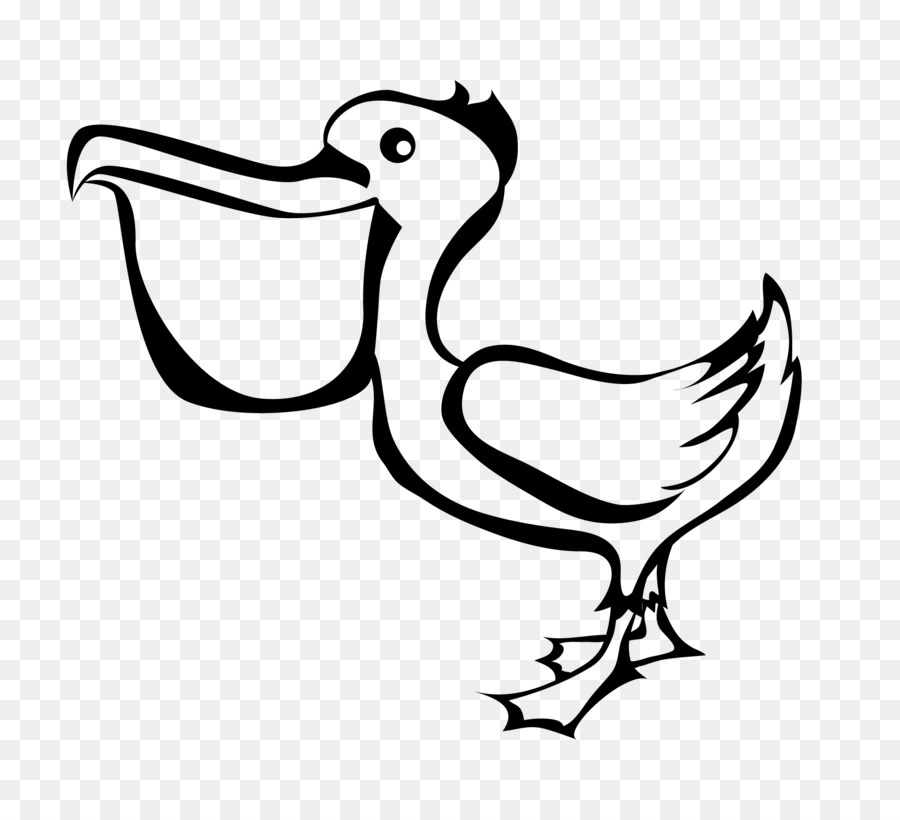 pelican clipart drawing