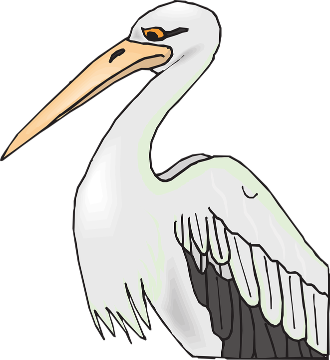 pelican clipart icon