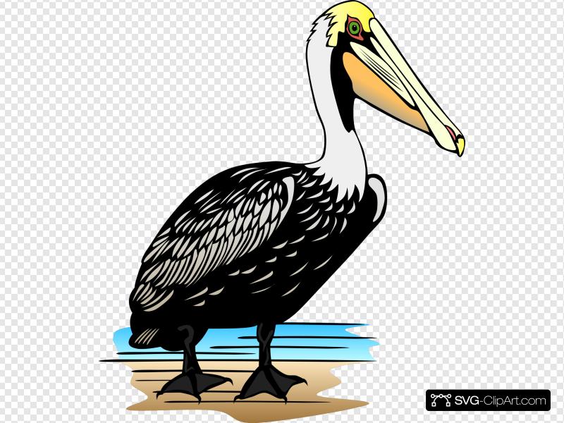 pelican clipart icon