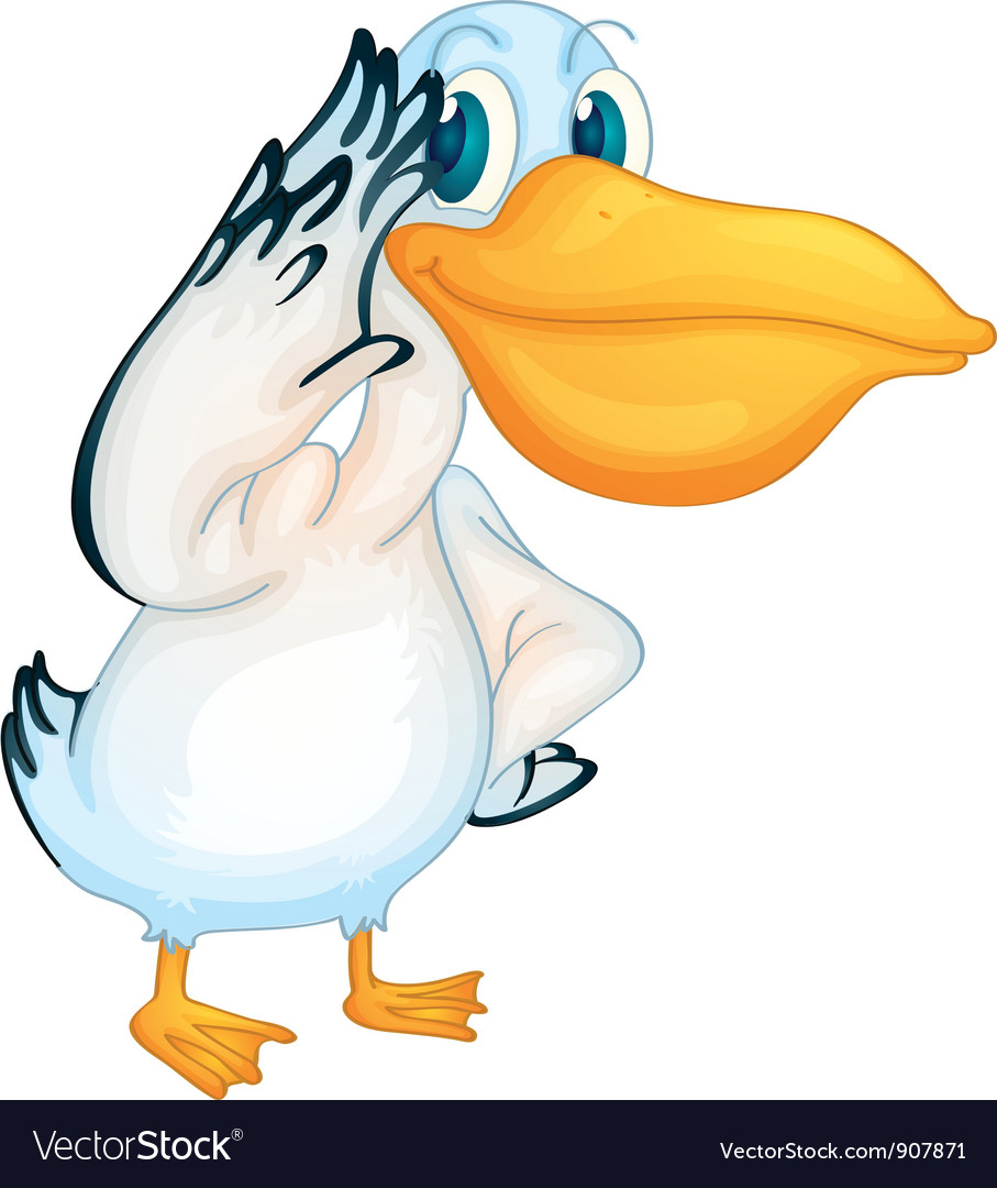 pelican clipart mascot