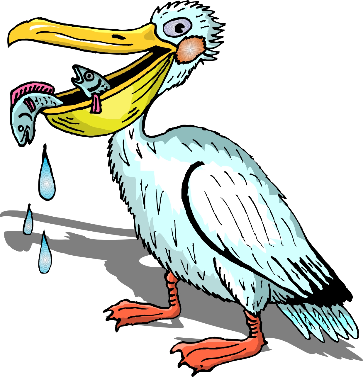 pelican clipart mascot