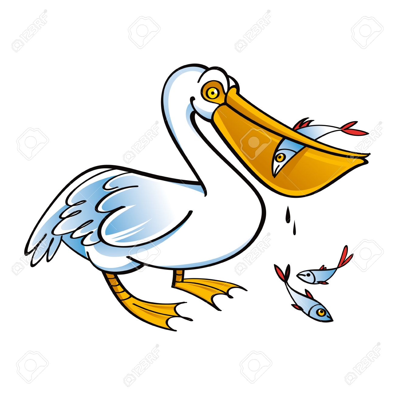 pelican clipart seagull