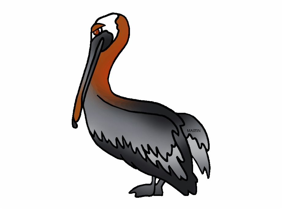 pelican clipart symbol louisiana