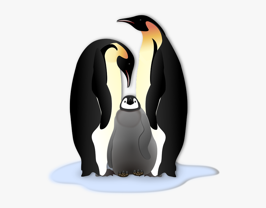 penguin clipart penguin family