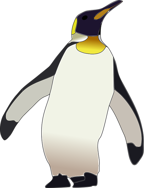 penguin clipart transparent background