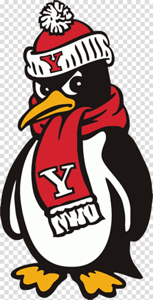 Penguins clipart football. Youngstown state university 