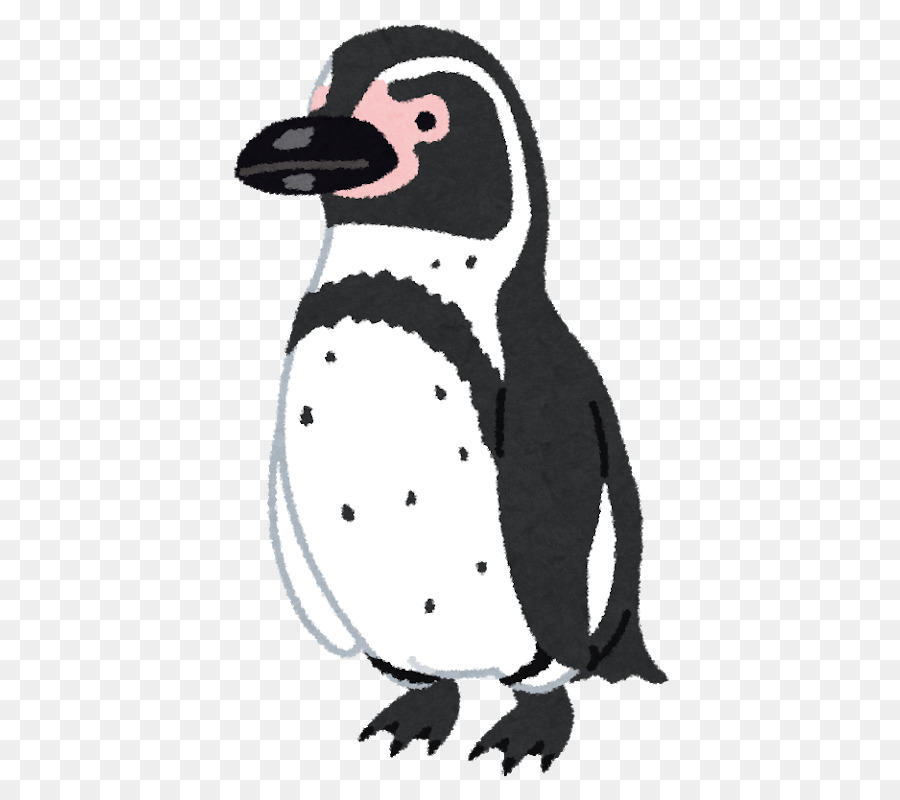 penguins clipart humboldt penguin