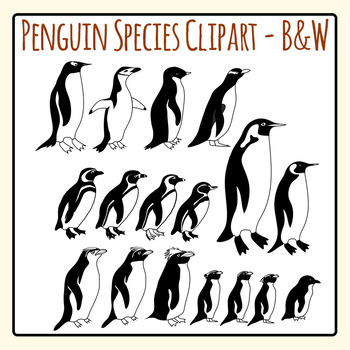 penguins clipart line