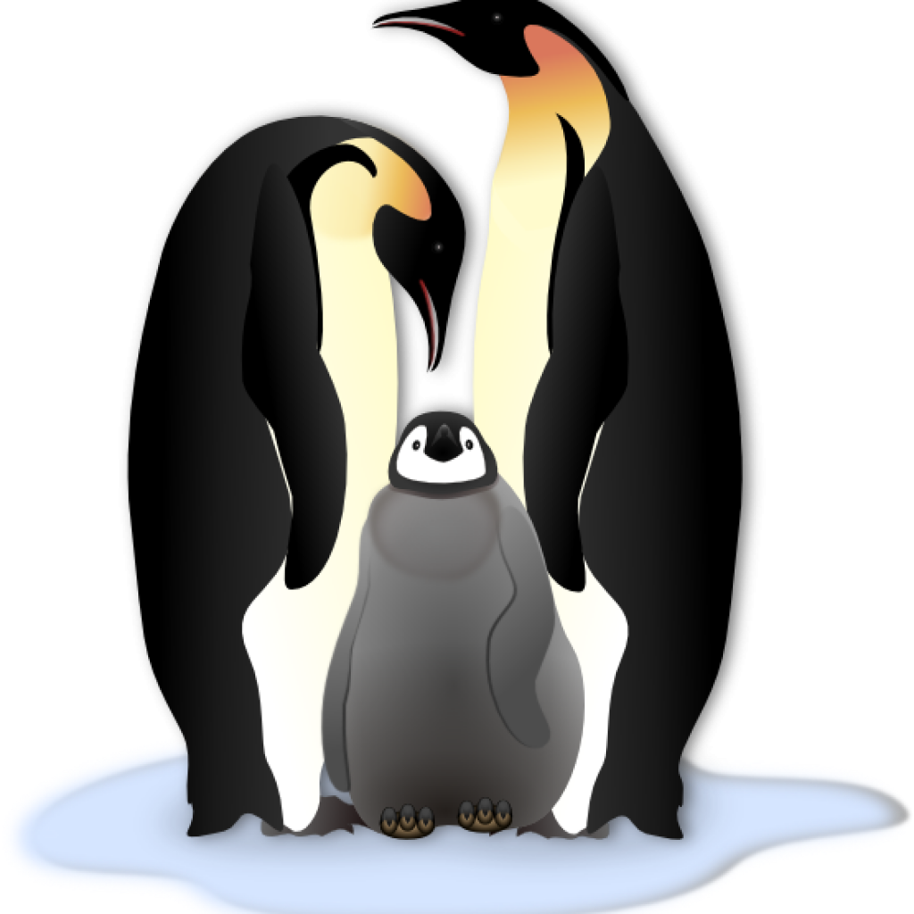 penguins clipart little penguin