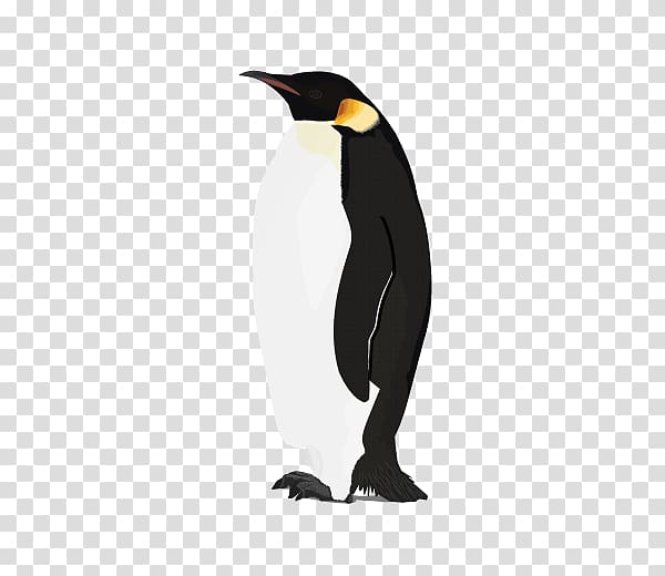 penguins clipart macaroni penguin