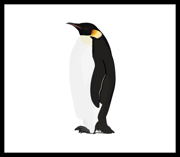 Penguins transparent background