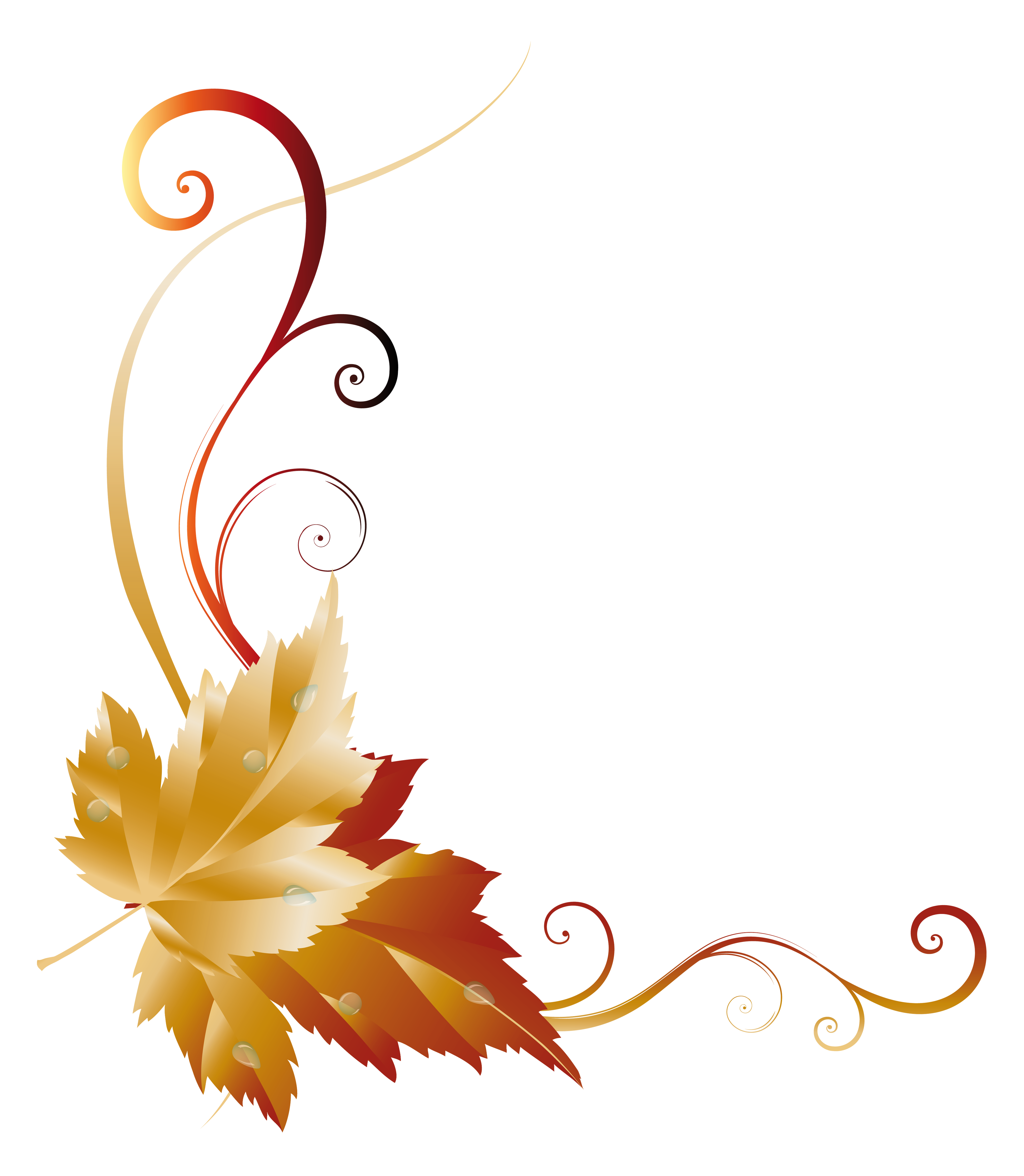 Fall leaf decor picture. Penny clipart transparent background