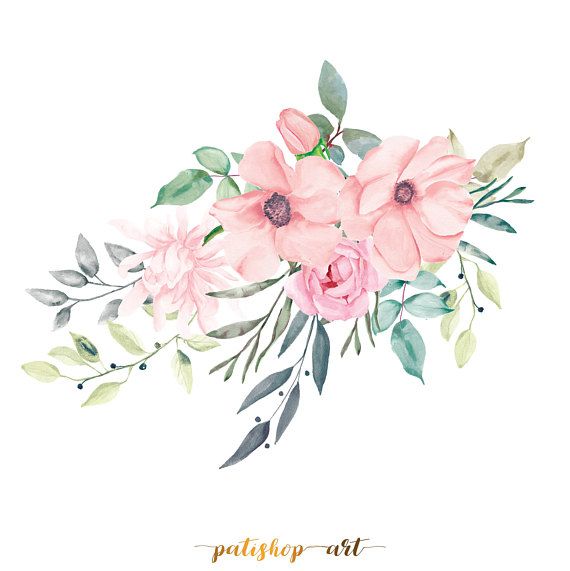 Peonies clipart beautiful flower. Blush pink watercolor flowers