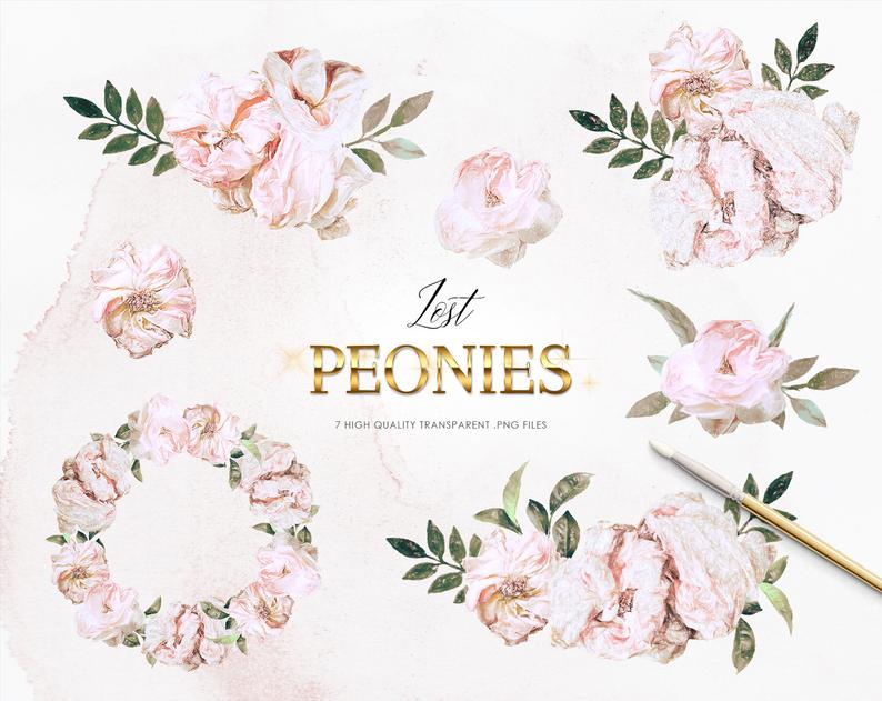  modern flowers clip. Peonies clipart blush peony