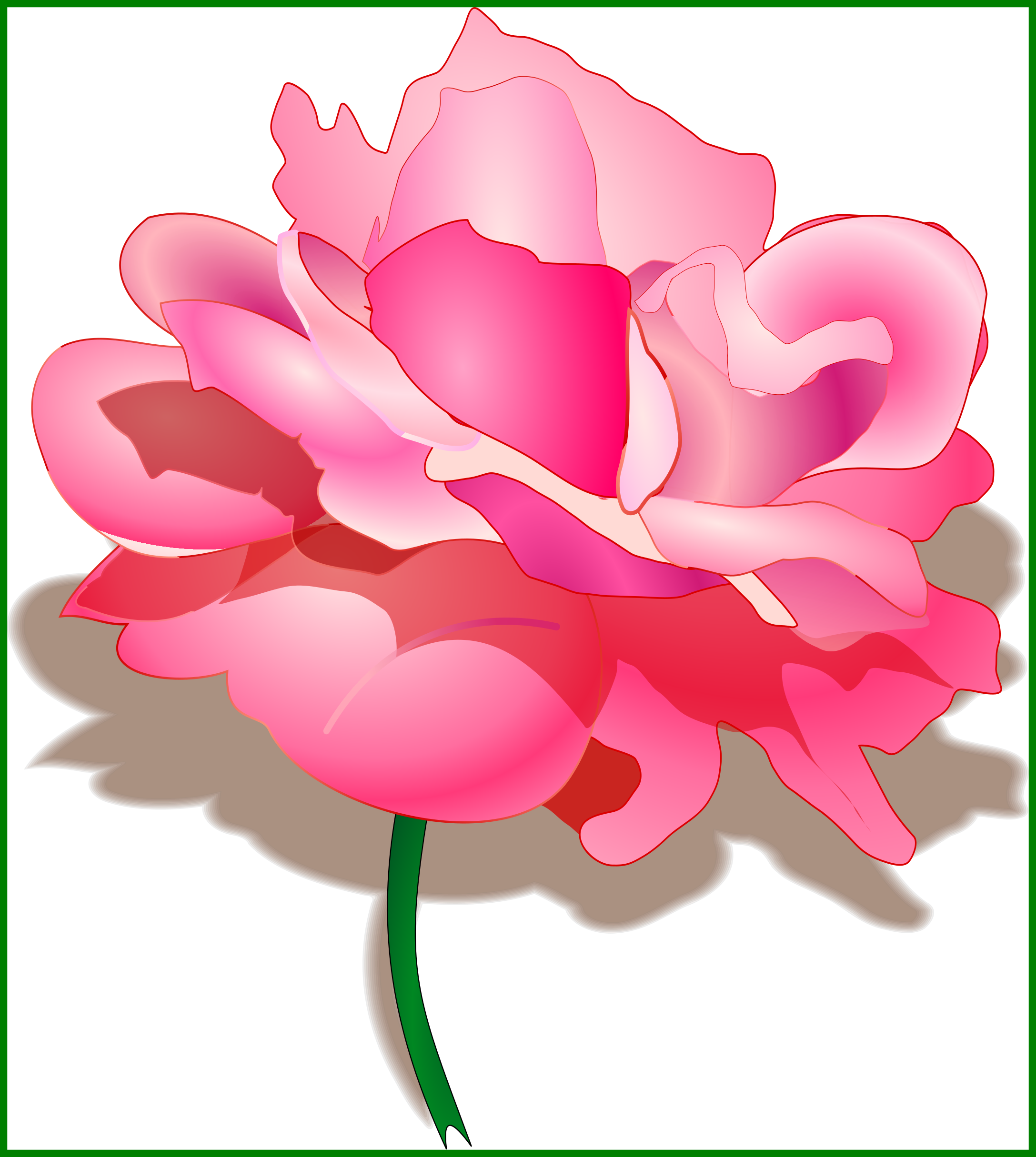The best watercolor peonies. Peony clipart blush peony