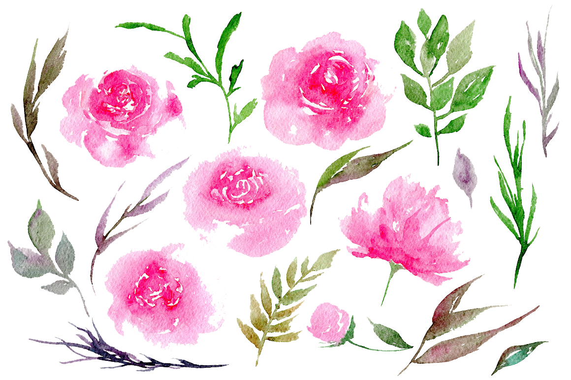 peonies clipart cartoon
