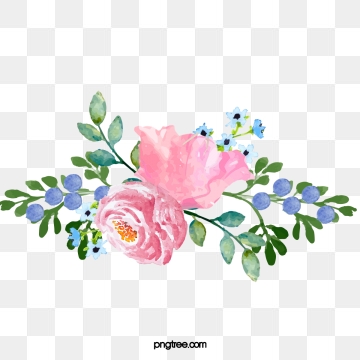 Peony clipart clip art. Images png format for