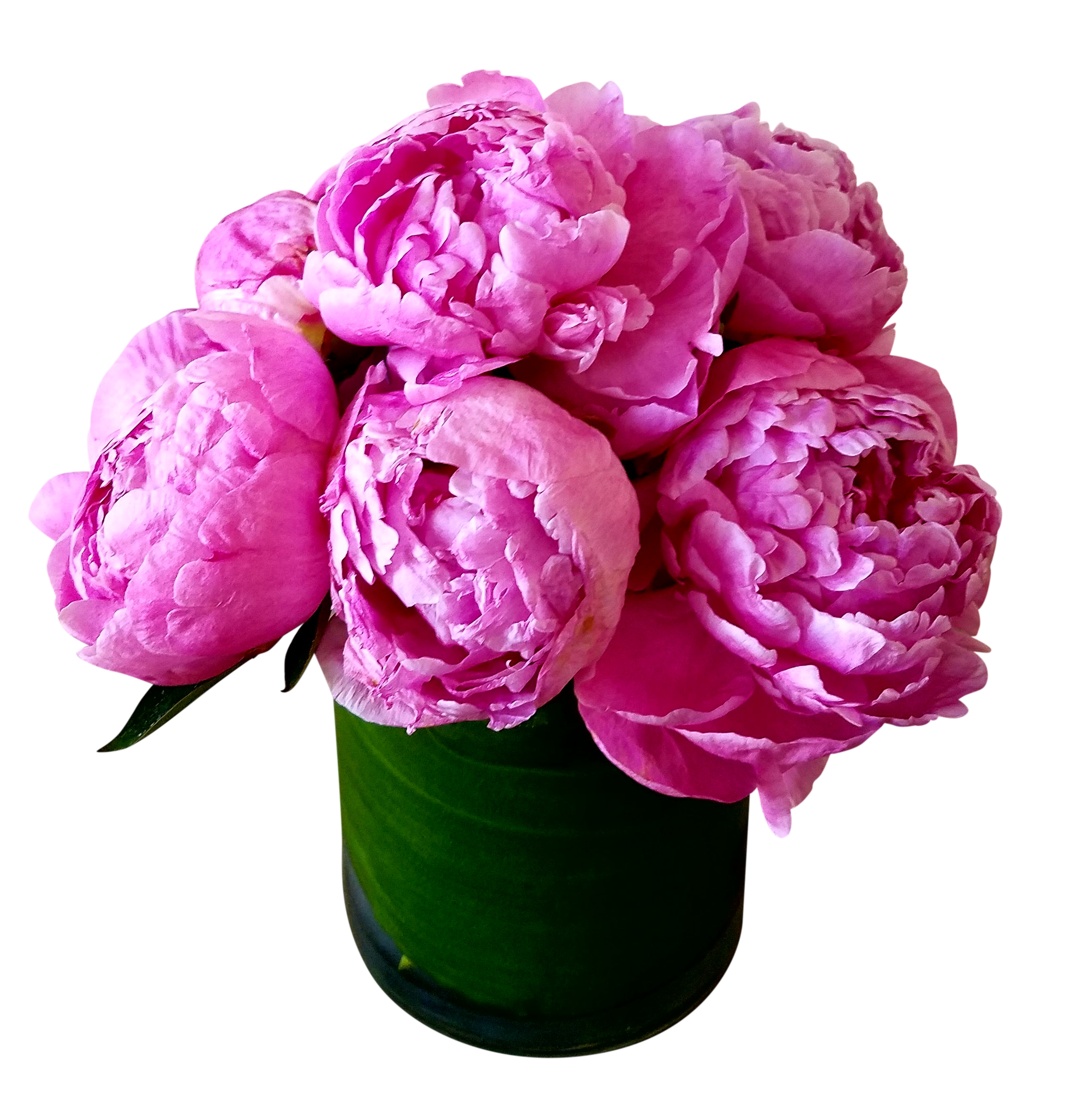 Peony clipart detailed. Vase hd transparentpng 